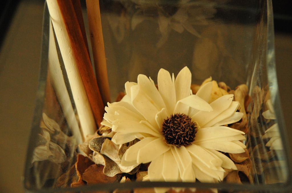 Ester Guest House シャヴェス エクステリア 写真